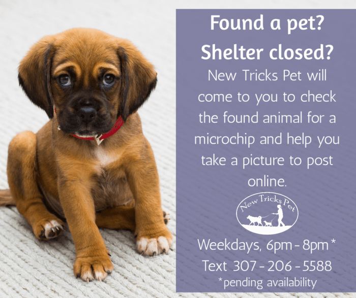 New Tricks Pet will come to you to check a found animal for a microchip. Tags: dog training, cat training, positive reinforcement training, positive reinforcement trainer, clicker trainer, kind training, fun training, dog trainer, cat trainer, animal trainer, pet trainer, pet training, Cheyenne Wyoming, Cheyenne dog training, trick training, trick trainer, positive reinforcement, positive methods, force free, fear free, canine good citizen, community service, volunteer